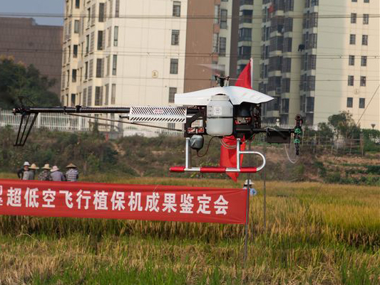 龙8头号玩家科技超低空？？？？？睾叫兄脖；；；；；；ü蒲行Ч卸