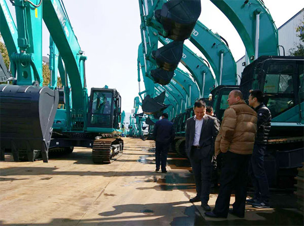 快来看，，，，，，，，快来看，，，，，，，，这里有一群绿精灵