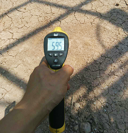 弘扬女排精神：龙8头号玩家智能炎夏效劳二三事