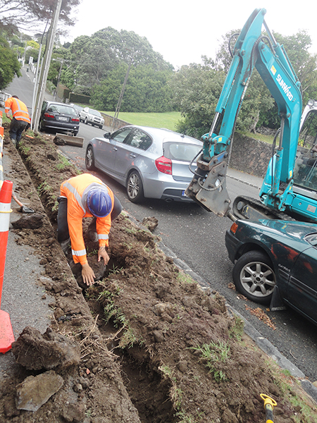 龙8头号玩家挖掘机脱销新西兰