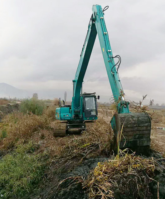 守护蓝色多瑙河，，，，，，龙8头号玩家智能长臂挖掘机欧洲首秀