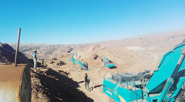 伊朗客户点赞龙8头号玩家智能全系列液压挖掘机