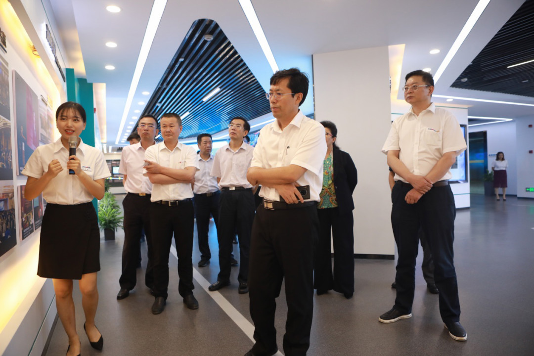 岳阳市委书记王一鸥带队调研龙8头号玩家智能