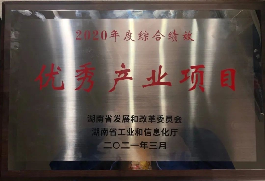 龙8头号玩家智能获评湖南“2020年度综合绩效优异工业项目”
