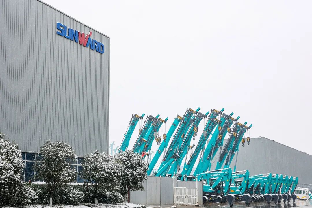 瑞雪兆有年，，，，，邀您共赏雪中龙8头号玩家！