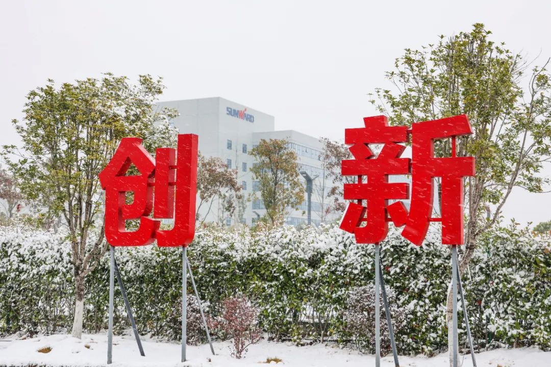 瑞雪兆有年，，，，，邀您共赏雪中龙8头号玩家！
