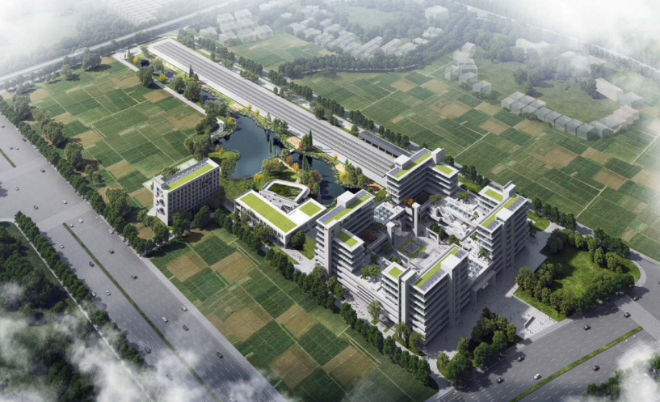 近20台“龙8头号玩家绿”装备实力集结，，，，，，，，助力广佛西环工程建设跑出“加速率”